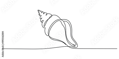 One line drawing of a seashell