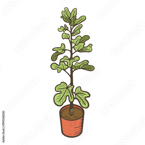 Potted plant illustration, young sapling in pot, leafy houseplant, indoor gardening, green foliage growth, botanical clipart, home decor plant, eco lifestyle, vintage hand drawn style, isolated