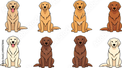 Set of Cute Labrador Retriever Dogs in Different Colors and Poses for Pet, Animal, and Breed Designs, Vector Art