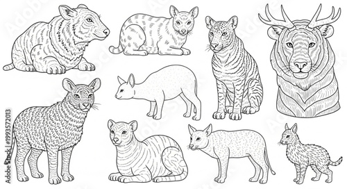 set of funny animals
