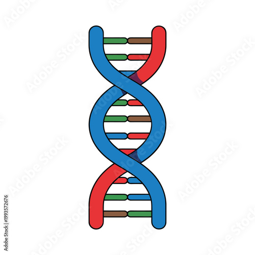 A colorful illustration depicts a double helix structure representing deoxyribonucleic acid