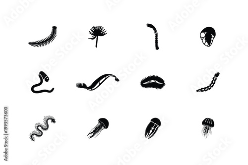 Marine Invertebrate Jellyfish and Worm Silhouette Set Vector Icons
