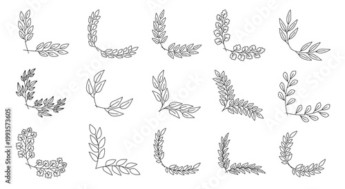 A variety of leafy branch designs arranged in decorative patterns. Set of floral corners. Vector illustration