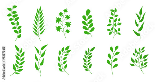 Green leafy branches are arranged in a repeating pattern on a white background. Vector illustration