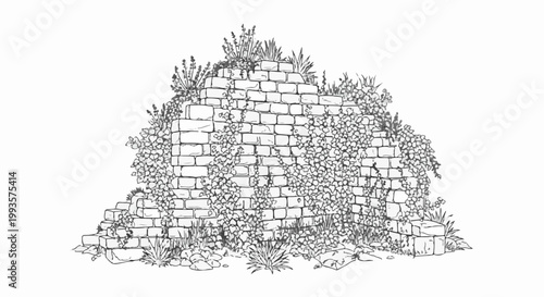 Crumbling stone wall overgrown with lush green foliage and plants