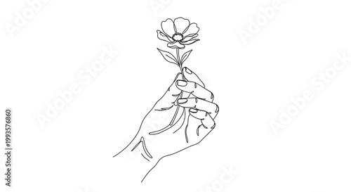Hand holding a flower in continuous line drawing style isolated on transparent background transparent background