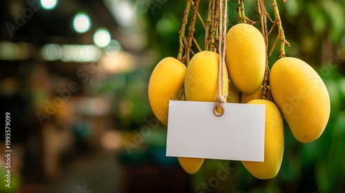 Mangoes at local market with simple blank price tag and clean minimal display