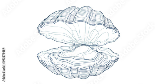 Elegant blue line drawing of an open oyster shell containing a large precious pearl resting on the bottom valve.