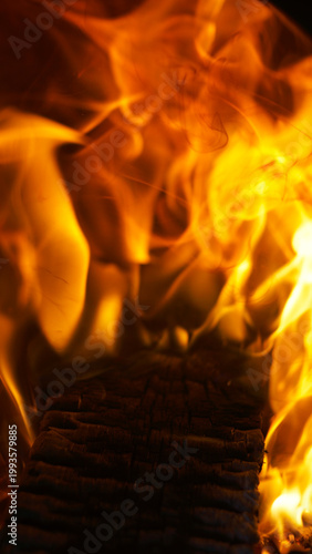 Vertical close-up of intense orange fire flames burning on a charred log