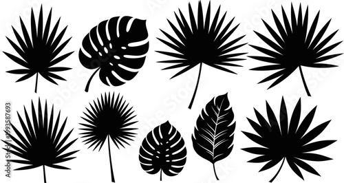 Collection of various tropical leaf silhouettes on white background