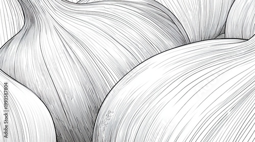 Close up monochrome illustration of several garlic bulbs in a group