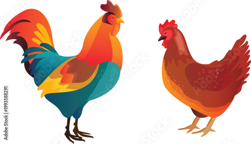 Colorful rooster and brown hen vector illustration isolated on transparent background