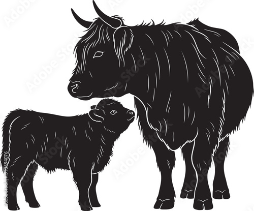 Highland cow stands protectively over her calf, representing maternal care and strength in a rural farm setting.