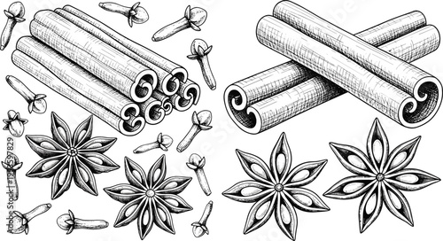 Obraz na płótnie Hand Drawn Spice Illustration Set Featuring Cinnamon Sticks, Star Anise, and Clo
