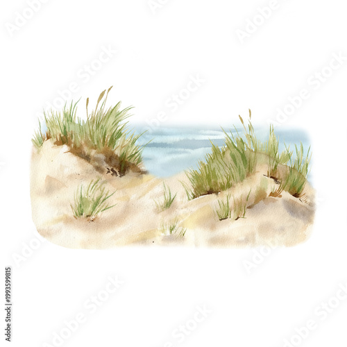 A sandy seashore with reeds. Hand-painted watercolor landscape. Isolated on a white background.