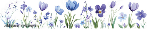 a series of blue spring flowers, in a clip art style with a transparent background