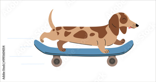 Cute dachshund riding skateboard. Flat vector illustration of spotted sausage dog in motion, playful pet character for kids designs, prints or fun graphics.