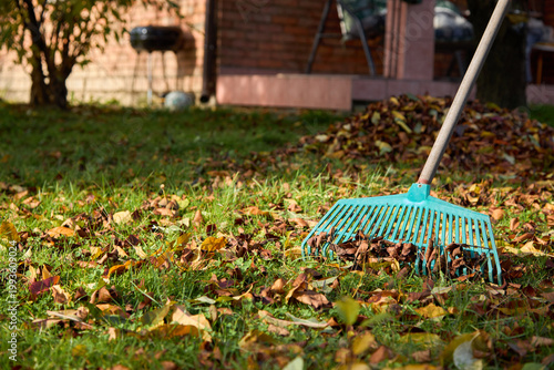 Person raking autumn leaves in the garden.