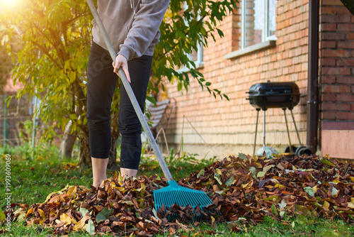 Tableau sur toile A young woman is cleaning up dry autumn leaves in the yard.