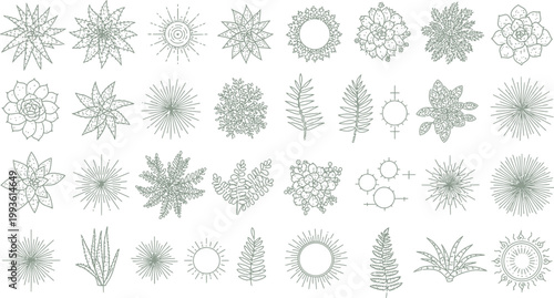 Collection of ornate floral and foliage illustrations in various shapes and designs