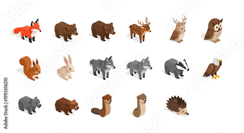 Collection of Forest Animals in Isometric Style.