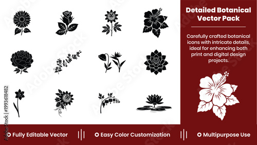 Detailed Botanical Silhouette Vector Pack Floral Clipart Collection Black Flower Elements Editable EPS