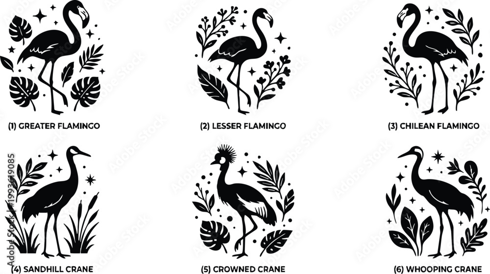 Fototapeta premium Six different types of flamingo and crane birds with botanical elements