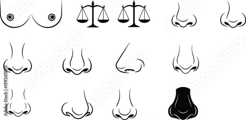 Collection of nose silhouette illustration set anatomy design facial features medical diagram art reference vector artwork health education science