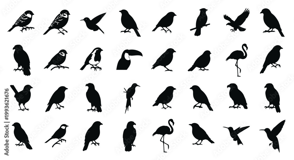Fototapeta premium Diverse collection of black bird silhouettes in various poses and species isolated on a clean white background showcasing avian diversity and freedom in nature