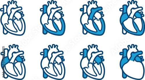 Human heart anatomy vector icon set. Includes eight variations highlighting different chambers and vessels in blue. Medical illustration for cardiology education and healthcare design.