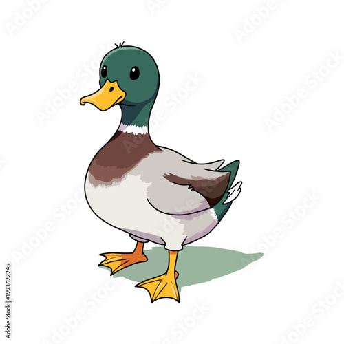 Cute Mallard Clipart 04
