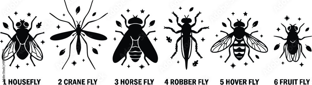 Obraz premium Black silhouette housefly crane fly horse fly robber fly hover fly fruit fly set vector art