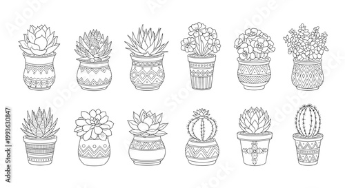 Collection of detailed black and white line art drawings featuring various succulents and cacti in decorative pots for coloring or minimalist design.
