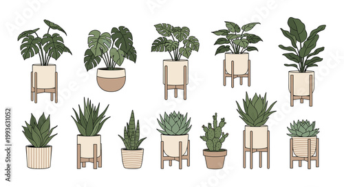 Collection of various green houseplants in ceramic pots and wooden stands illustrated in a simple modern hand drawn style.