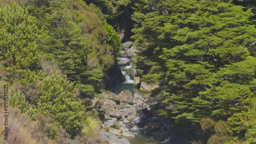 Clear mountain stream flowing through a rocky gorge surrounded by native forest on the North Island