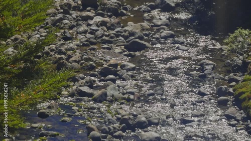 Clear mountain stream flowing through a rocky gorge surrounded by native forest on the North Island