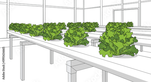 Rows of vibrant green lettuce grow in white hydroponic channels within a large modern greenhouse featuring a visible structural frame and bright lighting.
