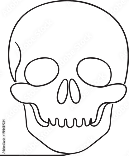 Human skull line art vector for anatomy study medical science cranium structure and biology concept minimalist sketch illustration on white background