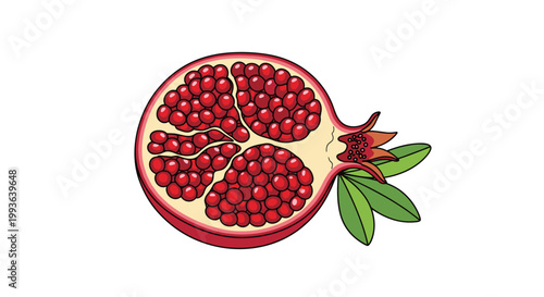 A detailed cross-section of a ripe pomegranate reveals tightly packed ruby red seeds nestled within white pith alongside three vibrant green leaves.