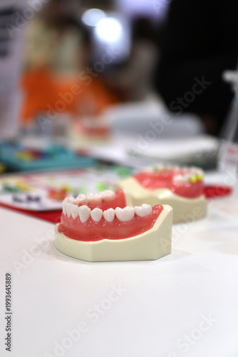 molde de dentadura dental