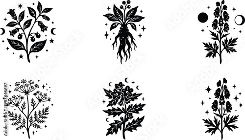 Black and white mystical botanical plants with moons stars and cosmic elements vector art