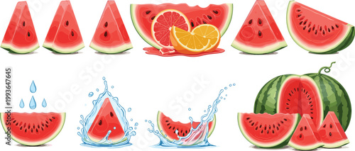 Juicy Watermelon Vector Set with Fresh Slices Citrus Mix Splash Effects and Summer Fruit Illustration Collection