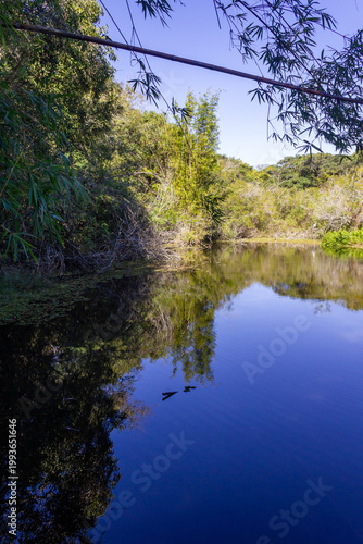Serene lake surrounded by lush vegetation at Porto Alegre Botanical Garden, Brazil.