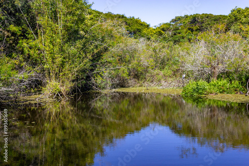 Serene lake surrounded by lush vegetation at Porto Alegre Botanical Garden, Brazil.