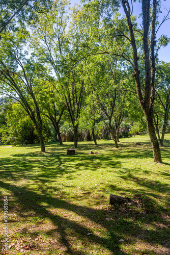 Lush green trees and tropical vegetation at Botanical Garden in Porto Alegre, Brazil