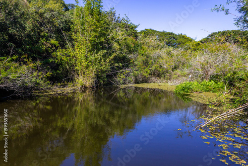 Serene lake surrounded by lush vegetation at Porto Alegre Botanical Garden, Brazil.