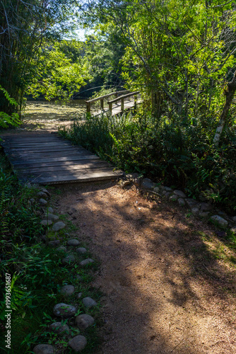 Wooden bridge over a pond with a nature trail in Porto Alegre Botanical Garden, Brazil.