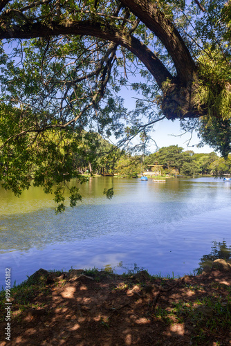 Lake and lush trees at Redencao Park in Porto Alegre, Brazil