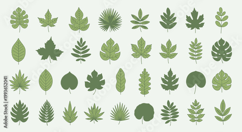 Collection of various green leaf shapes.