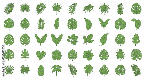 Collection of various green leaf types.